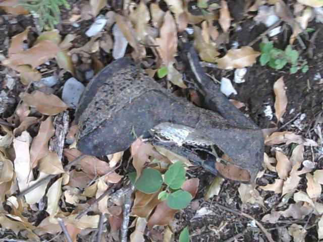 Zapato de Jenni Rivera